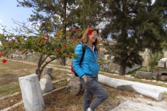 DSCN0082