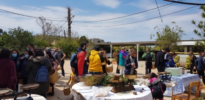 Fruit Picking Quasmieh 27-03-2021