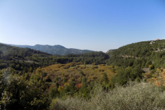 DSCN0013