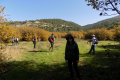 DSCN0031