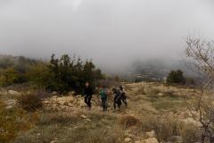 DSCN0082