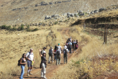 IMG_7797