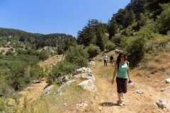 DSCN0008