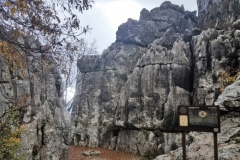 20181209_105737 (Medium)