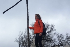 20181209_111536 (Medium)