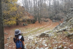 20181209_114538 (Medium)