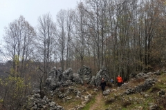 20181209_120344 (Medium)