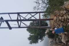 20181209_123730 (Medium)