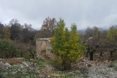 20181209_125230 (Medium)