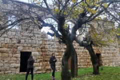 20181209_125853 (Medium)