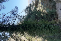 20201227_130056