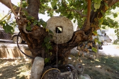 DSCN0034