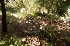 DSCN0039