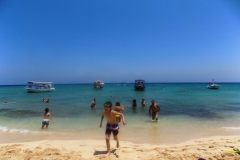 DSCN0091