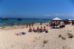 DSCN0098