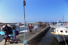 DSCN0117