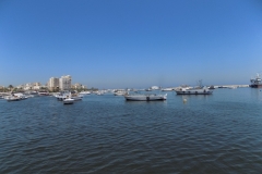 DSCN0008