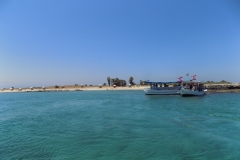 DSCN0024