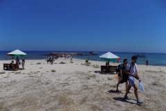 DSCN0026