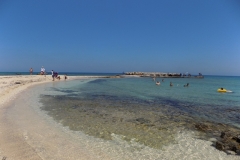 DSCN0031
