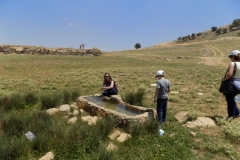 DSCN0043