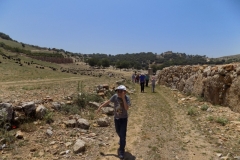 DSCN0053