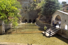 DSCN0054