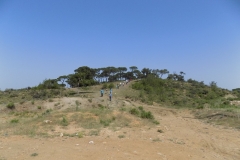 DSCN0004