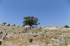 DSCN0028