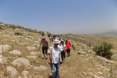DSCN0038