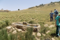 DSCN0052