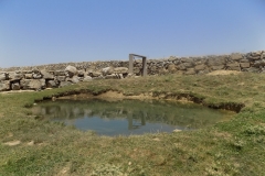 DSCN0053