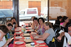 IMG_0842 (Medium)