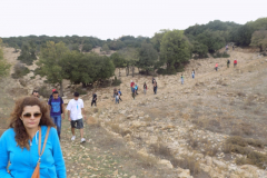 DSCN0132
