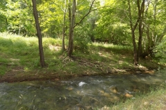 DSCN0060