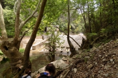 DSCN0079