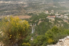 DSCN0089