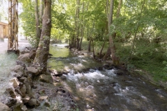 DSCN0018