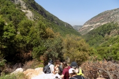 DSCN0043