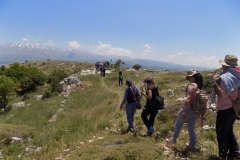 DSCN0072