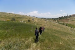 DSCN0081