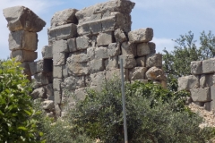 DSCN0086