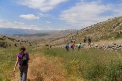 DSCN0094