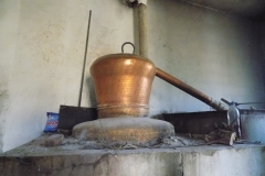 DSCN0102