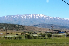 IMG_9762 (Large)