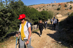 69888221_2486823311373064_3671709554996936704_o