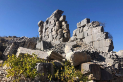 74209890_2486829274705801_6893412657425022976_o