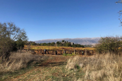 74489533_2486823724706356_9071766434404630528_o