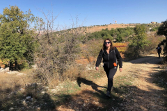 75361021_2486848738037188_6567480323909615616_o