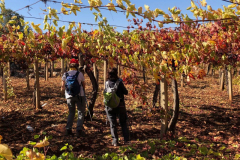 75402272_2486833621372033_2671196257673805824_o